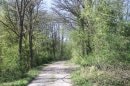 Bois des Perches